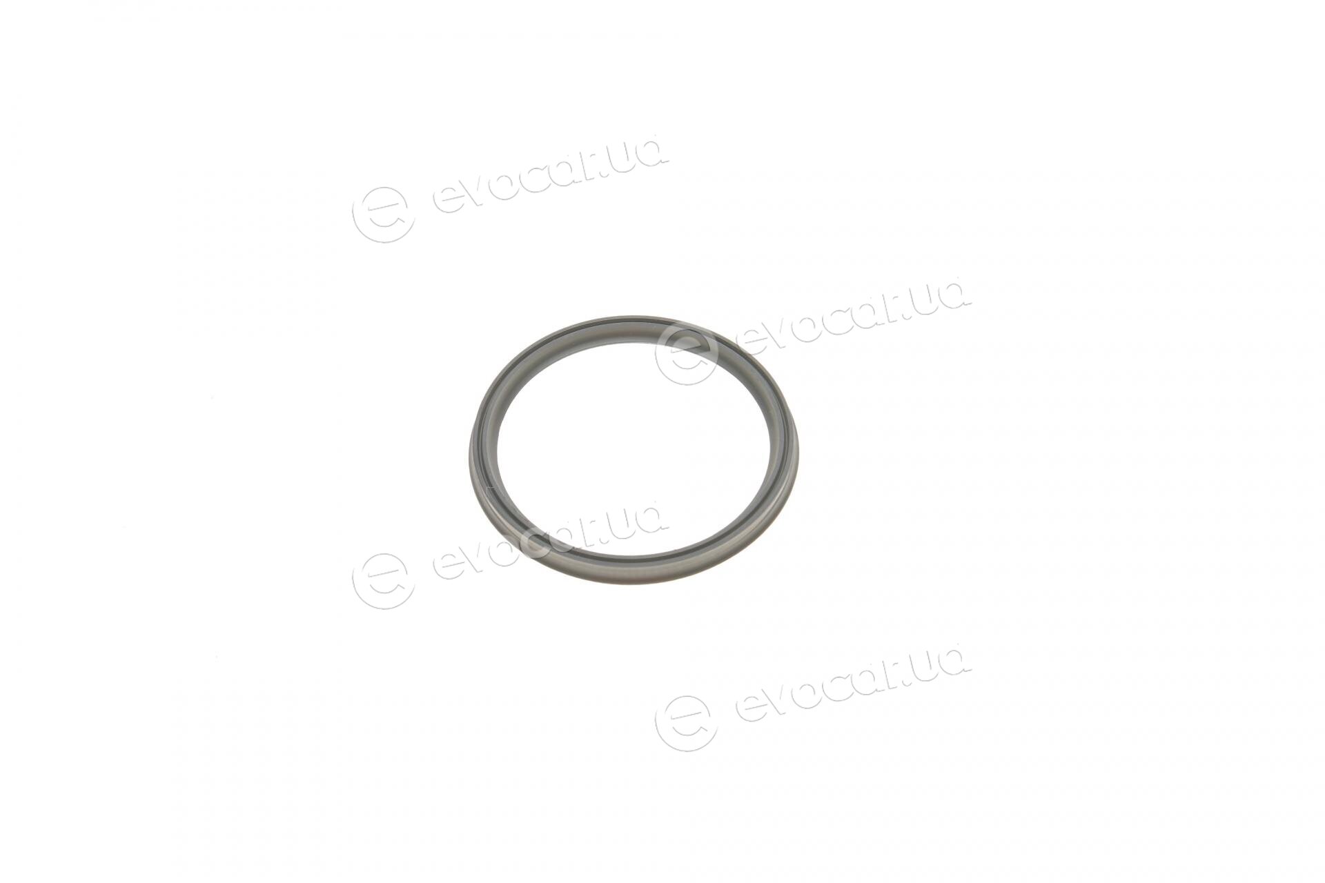 Elring 094.830