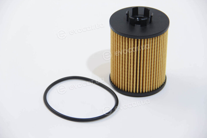 MFilter TE 616