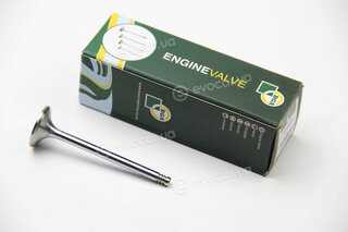 BGA V029354