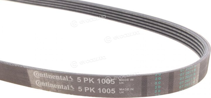 Continental 5PK1005