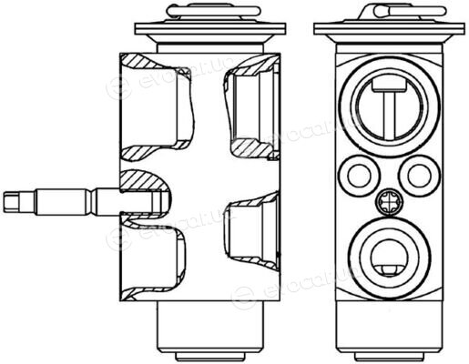 Mahle AVE 113 000P