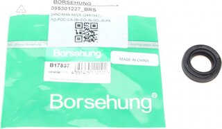 Borsehung B17837