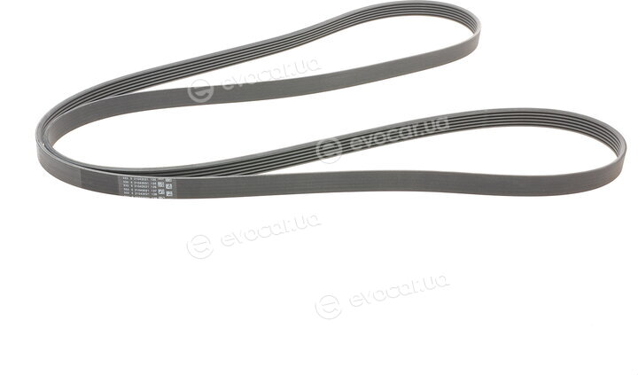 Continental 6PK2490