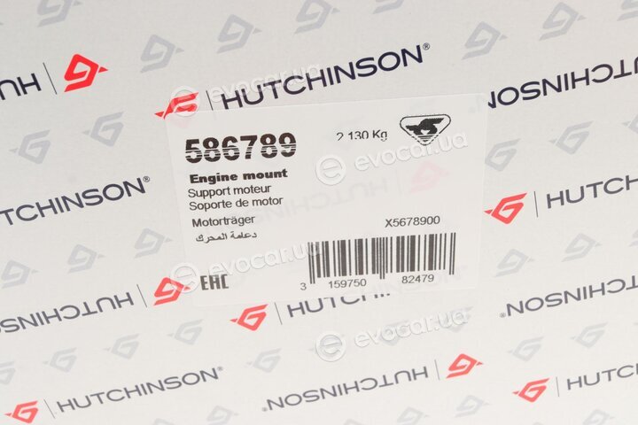 Hutchinson 586789