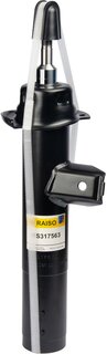 Raiso RS317563