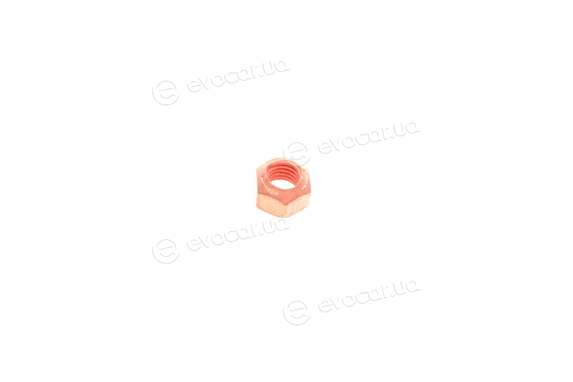 FA1 KT330260