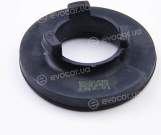 BC Guma 0253