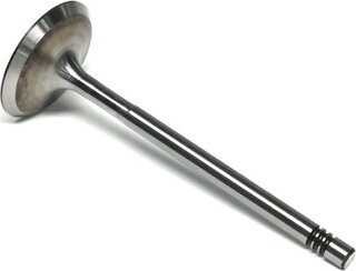 Gunes 6037