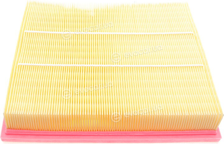 Solgy 103064
