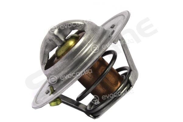 Starline TS T055.82