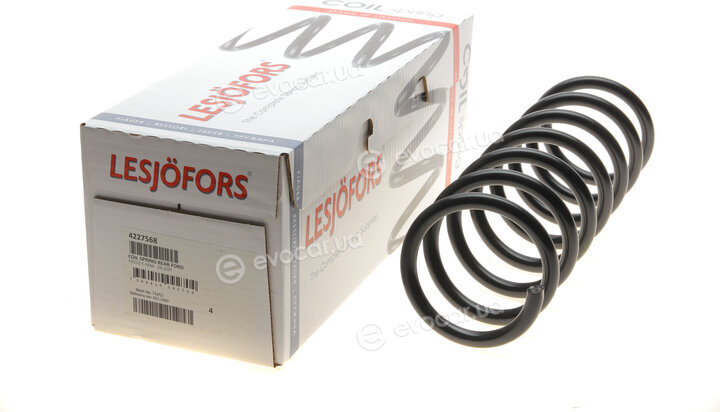 Lesjofors 4227568