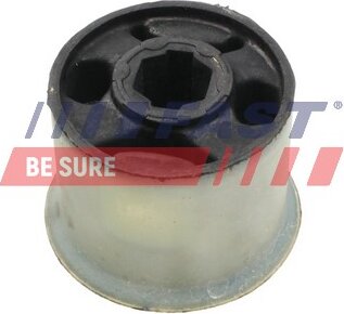 Fast FT18079