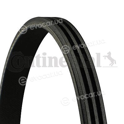 Continental 3PK751 ELAST