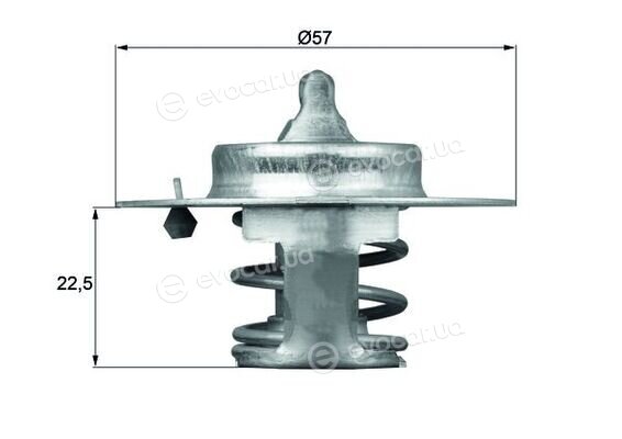 Mahle TX 60 83D
