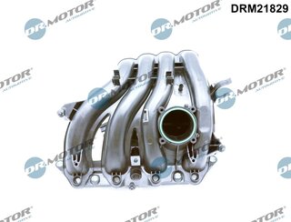 Dr. Motor DRM21829