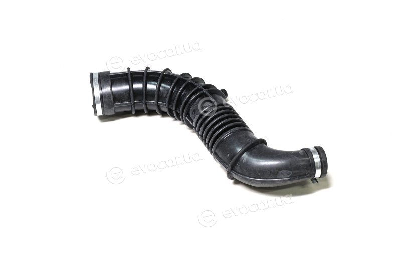 Sasic 3334007
