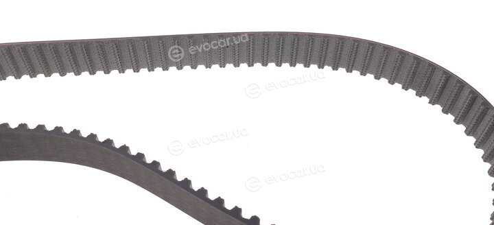 Gates K015572XS