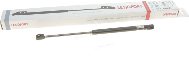 Lesjofors 8185704