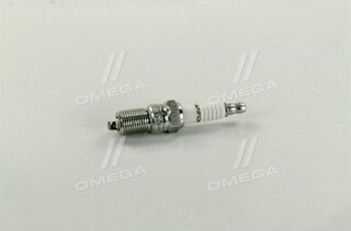 Champion OE067/T10