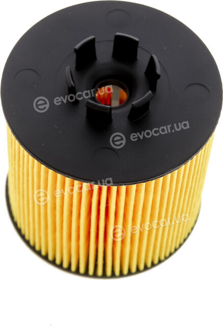 Hengst E320H01 D84