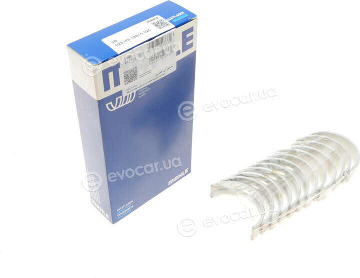 Mahle 029 HS 18815 025