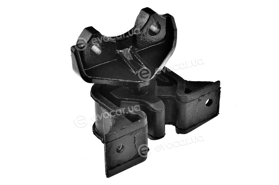 NTY ZPS-PL-019
