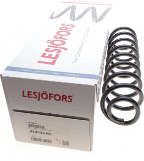 Lesjofors 4056840