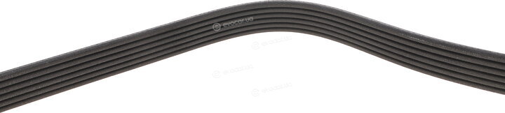 Dayco 6PK1936