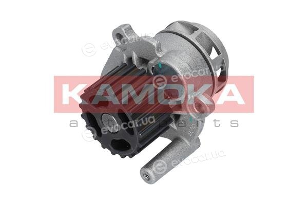 Kamoka T0253