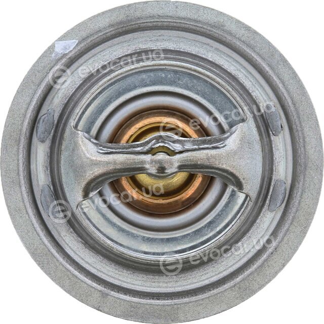 Motorad 302-77K