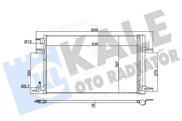 Kale 385300