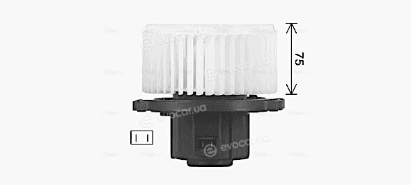 AVA OL8728