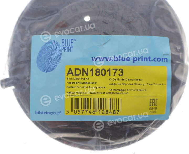Blue Print ADN180173