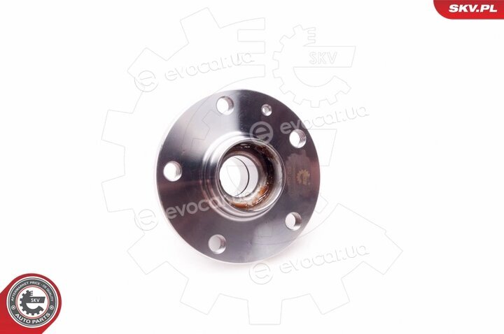 SKV 29SKV006