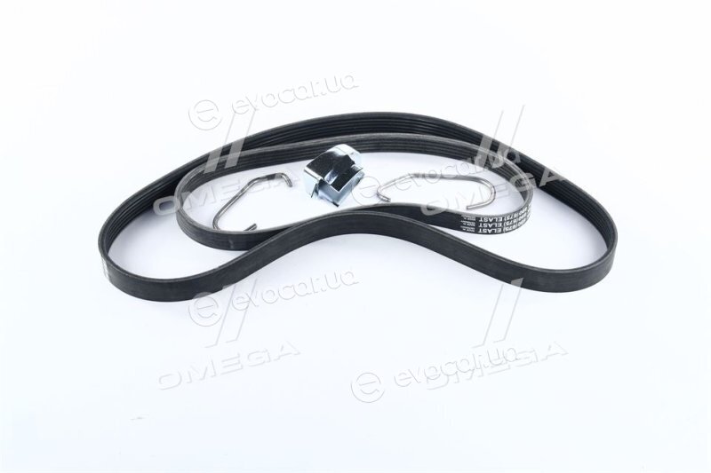 Continental 6PK1019 ELAST T1
