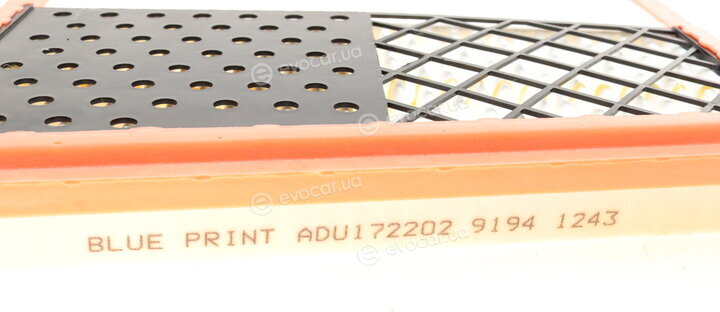Blue Print ADU172202