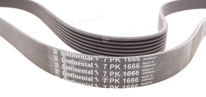Continental 7PK1666