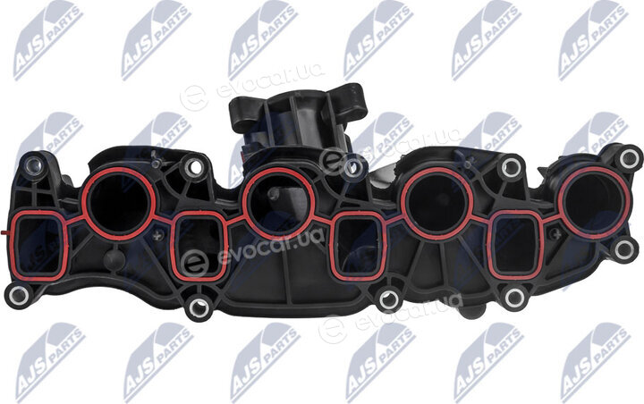NTY BKS-VW-028