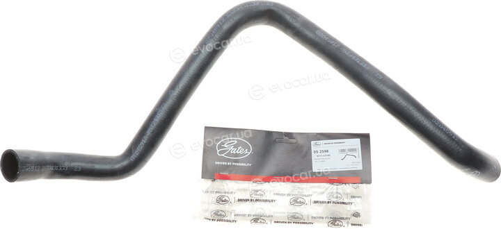 Gates 05-2598