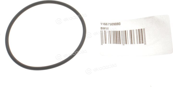 BMW / Mini 11 66 7 509 080
