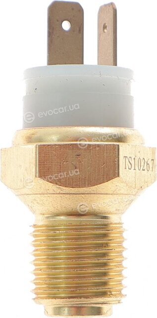 Delphi TS10267