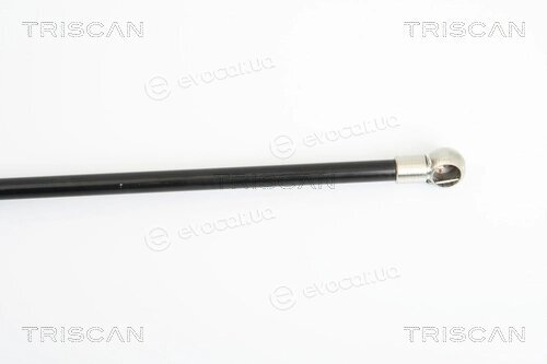 Triscan 8710 25229