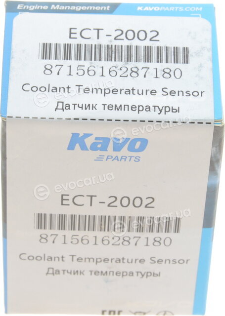 Kavo ECT-2002