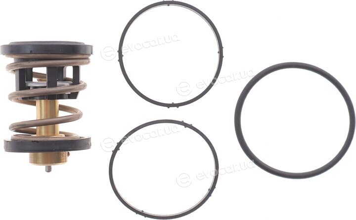 Mahle TX 496 91D
