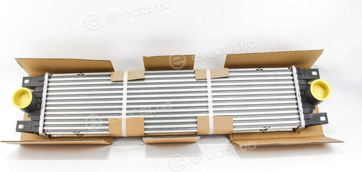 Depo / Loro 037-018-0001