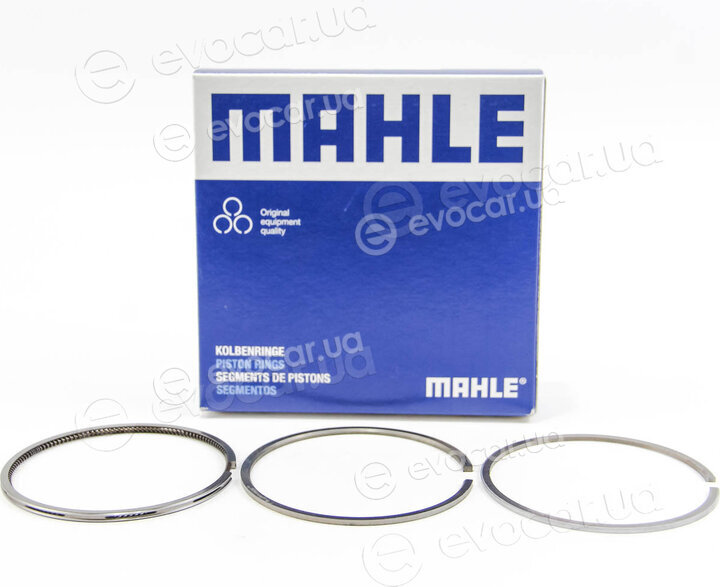 Mahle 029 55 N1