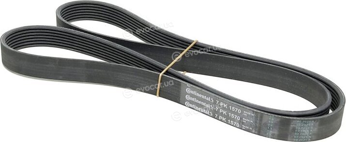 Continental 7PK1570