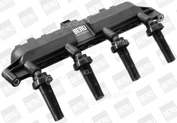 Beru ZS381