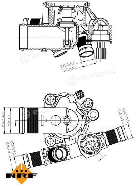 NRF 725051