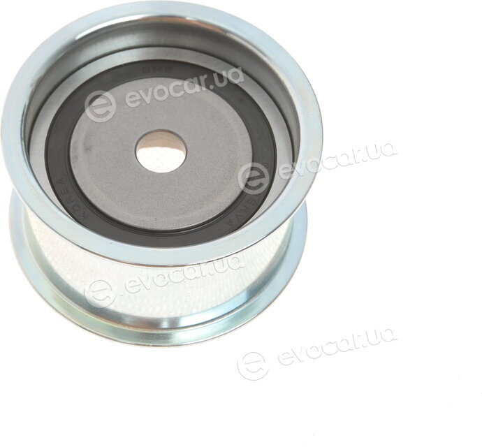 Gates K025493XS